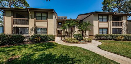 335 Woodlake Wynde Unit 41, Oldsmar