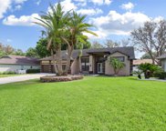 424 Summit Chase Drive, Valrico image