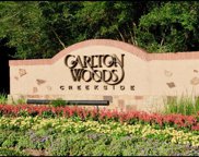 14 Pronghorn Place, Spring image