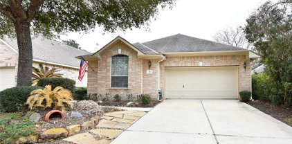 91 N Country Gate Circle, The Woodlands