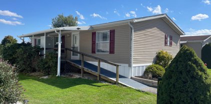 123 Mimosa Dr, York