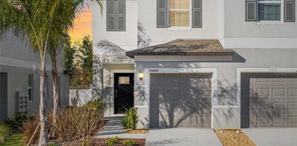 10454 Shady Preserve Drive, Riverview