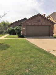 3164 Spotted Owl  Drive, Fort Worth image