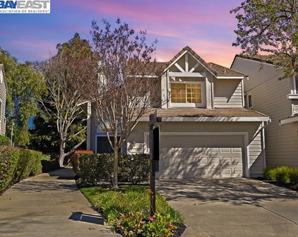 7453 Rolling Hills Cir, Dublin