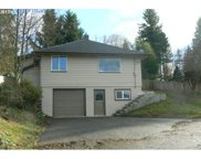 39614 NE 216TH AVE, Amboy image