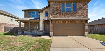 14110 N Wind Cave Court, Conroe