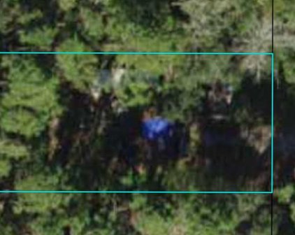 20 Bayview Dr, Apalachicola