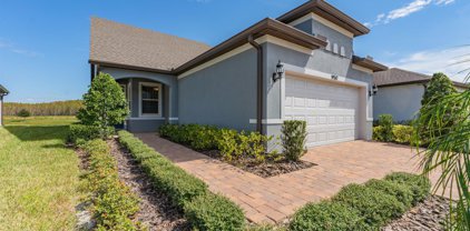 19517 Ship Wheel Way, Land O' Lakes