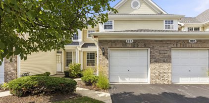 991 Sheridan Circle, Naperville