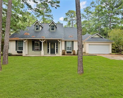 22602 Rainfern Drive, Magnolia