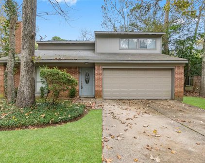 4 Basal Briar Court, The Woodlands