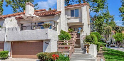 26542 Cardenio, Mission Viejo