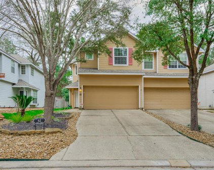 62 S Camellia Grove Circle, The Woodlands