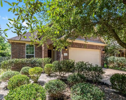 3 Canterborough Place, Tomball