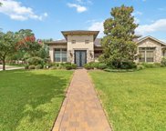 16603 Victoria Falls Drive, Spring image