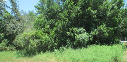 2466 Comerwood Drive, Spring Hill