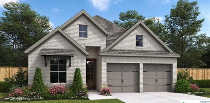 333 Kimble Creek Loop, Kyle