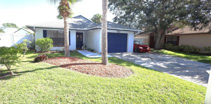 6255 Gardenview Court, Orlando