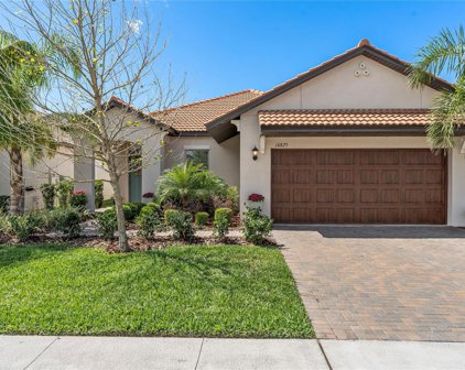 16825 Whisper Elm Street, Wimauma