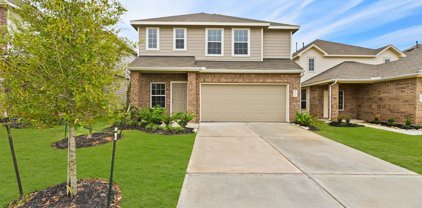 2911 August Mist Court, Conroe
