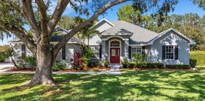 3539 Ashling Drive, Lakeland