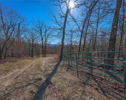 15104 Trace Branch  Road, West Fork
