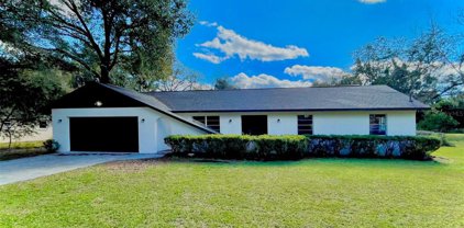 37320 Moore Drive, Dade City
