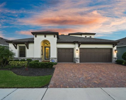 4226 Epic Cove, Land O' Lakes