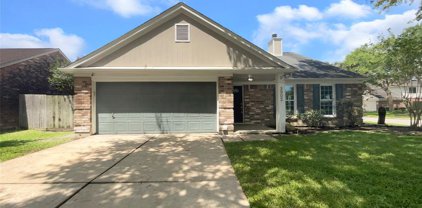 3902 Spring Meadow Drive, Pearland