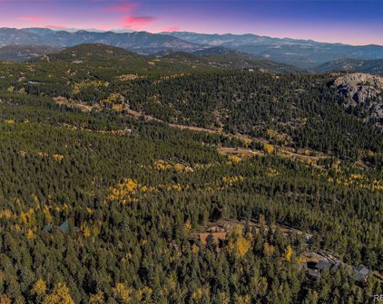 10208 Christopher Drive, Conifer