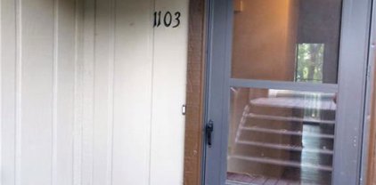 1103 Fairway Oaks Drive Unit 1103, Waleska