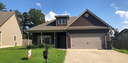 603 Fox Path Ln, Clarksville