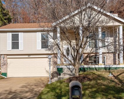 437 Elm Crossing  Court, Ballwin