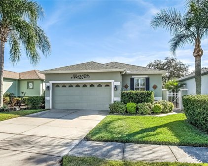 20930 Tangor Road, Land O' Lakes