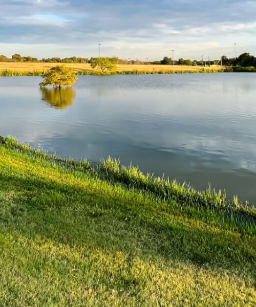 Lake Front Real Estate