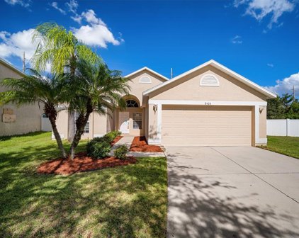 8406 Carriage Pointe Drive, Gibsonton