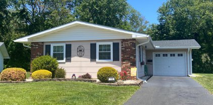 10 Hardy Court, Brick