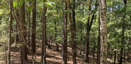 9 Hillside, Mount Ida