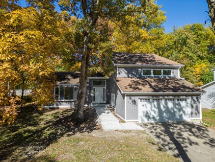 2928 Two Paths Drive, Woodridge