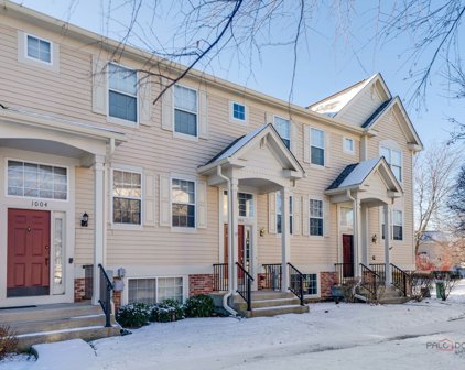1006 Manchester Circle, Grayslake