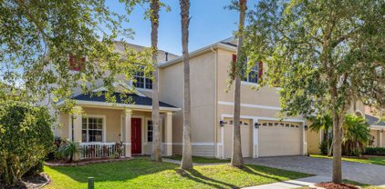 20015 Daytona Way, Tampa