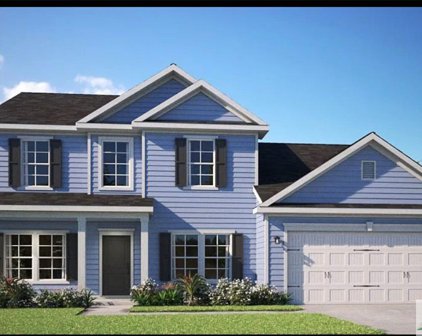 738 Blue Moon Crossing, Pooler