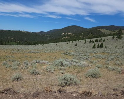 #17 Tract, 40 Acres +/-, Helmville