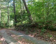 9999 Chemin Jacques  Drive, Brevard image