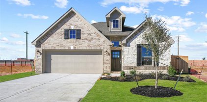 3631 Prairie Rose Trail, Angleton