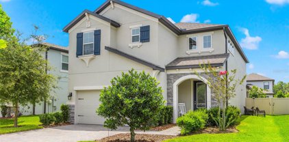 3856 Villamore Lane, Odessa