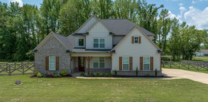 4590 Pierce Drive, Hernando
