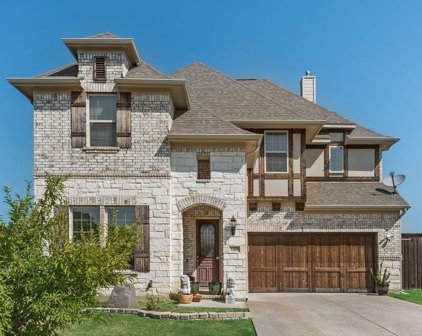 3309 Stone Canyon  Drive, Mansfield