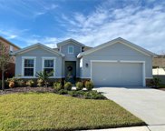 8621 Sunshower Pl, Parrish image