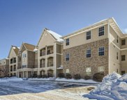 15631 Linnet Street NW Unit #3-201, Andover image